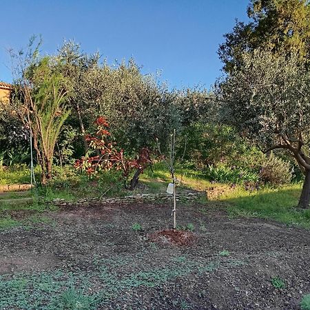Appartamento Studio 25M2 Avec Piscine Et Spa, Proche Iter Et Cadarache Valensole Esterno foto