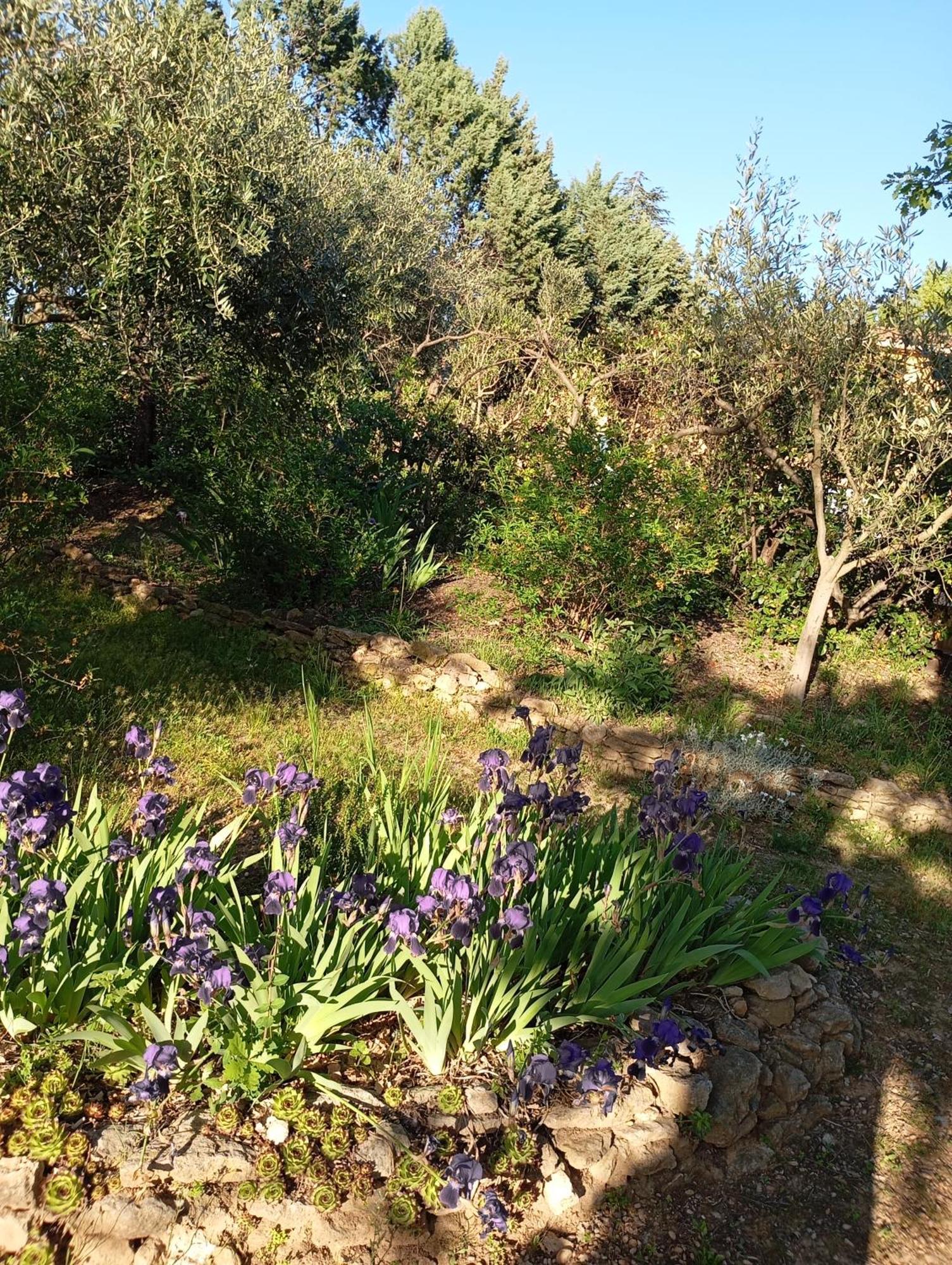 Appartamento Studio 25M2 Avec Piscine Et Spa, Proche Iter Et Cadarache Valensole Esterno foto