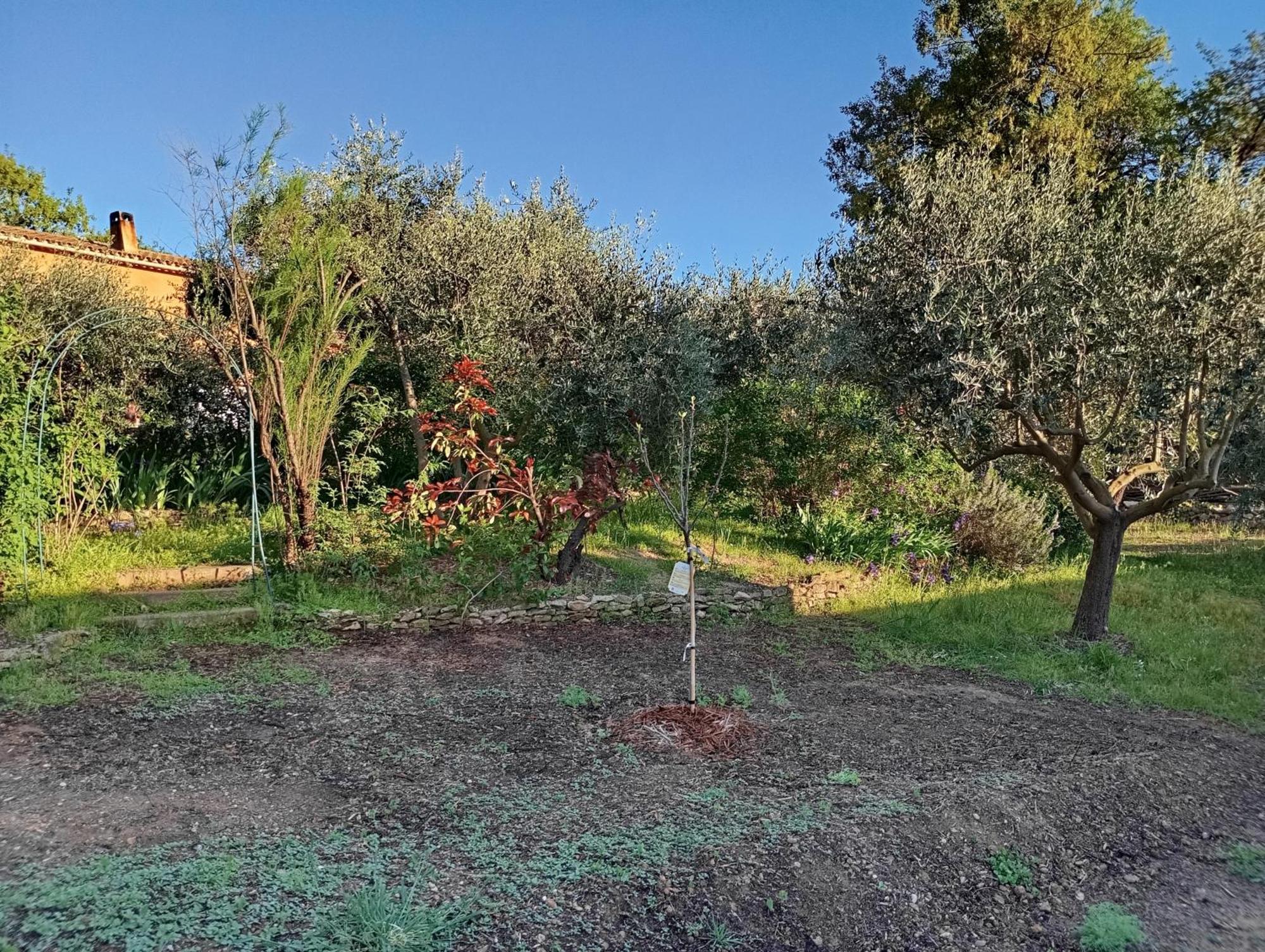 Appartamento Studio 25M2 Avec Piscine Et Spa, Proche Iter Et Cadarache Valensole Esterno foto